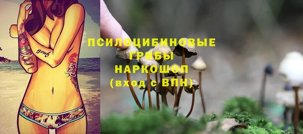 трава Армянск