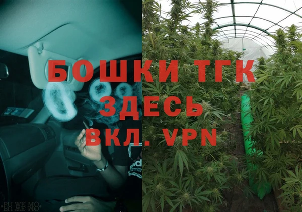 трава Армянск