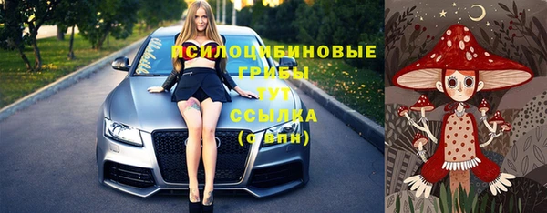трава Армянск