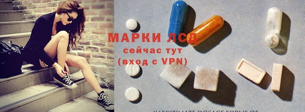 мяу мяу мука Елизово